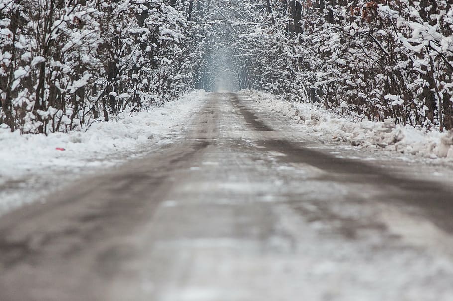 winter, asphalt, forest, tree, plant, direction, the way forward HD wallpaper