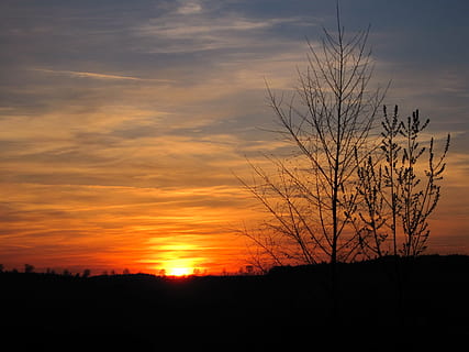 Evening, Sun, Tree, Aesthetic, evening sky, sunset, red, afterglow HD wallpaper