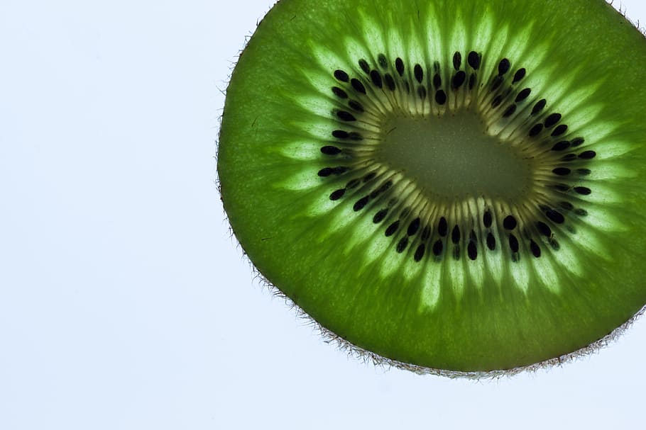 green and black sliced fruit, kiwi, transmitted light, macro