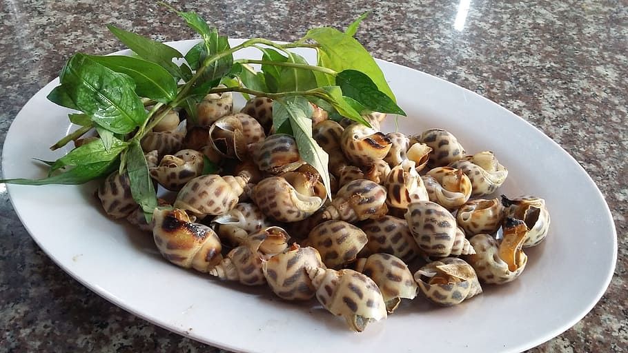 snail, incense, steamed, food, food and drink, vegetable, freshness HD wallpaper