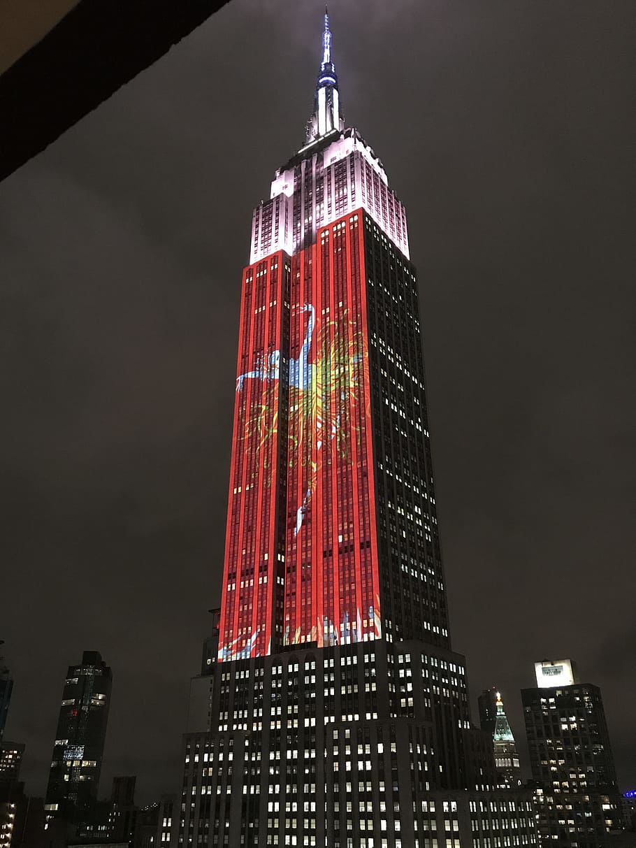Empire State Building, Lights, Nighttime, skyscraper, tower HD wallpaper