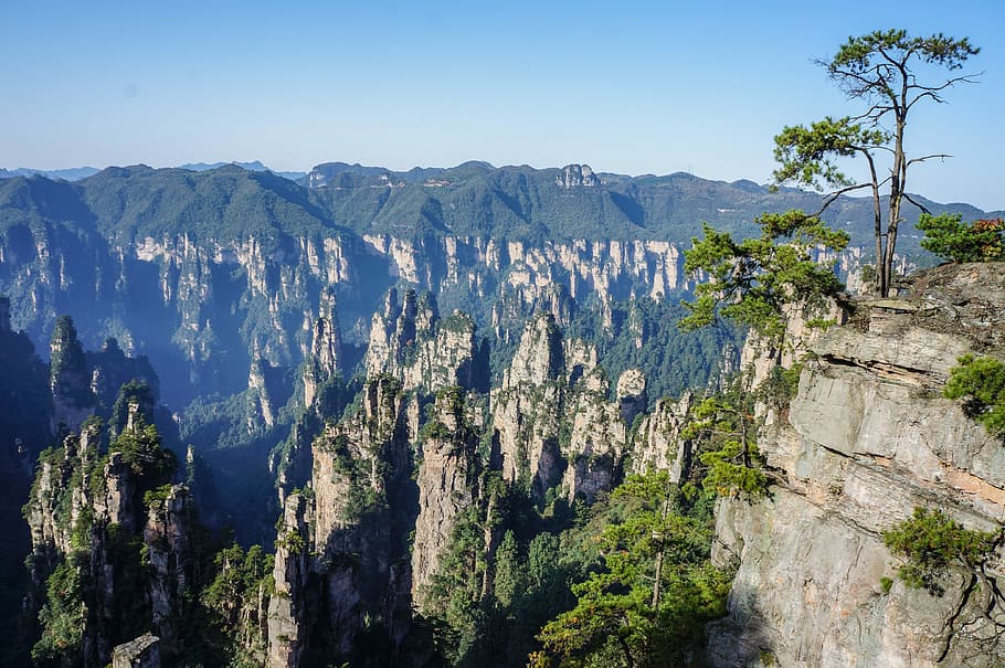 mountains during daytime, China, National Park, Zhangjiajie, tree, HD wallpaper