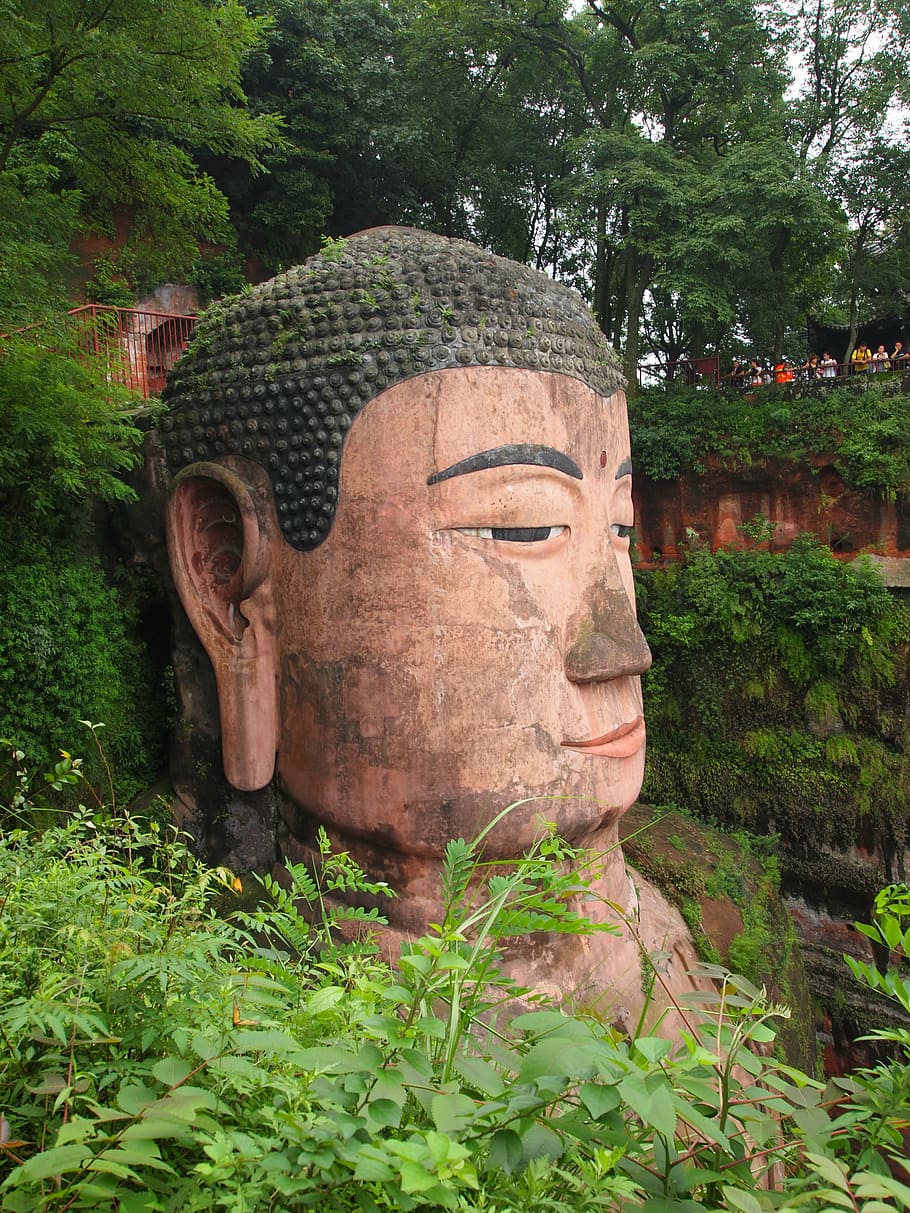 buddha head, leshan, chengdu, china, temple, sculpture, plant, HD wallpaper