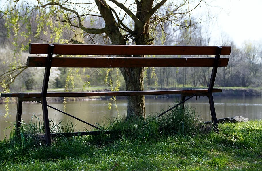 Bench, Lonely, Peace, Rest, Recreation, sit, seating, nature HD wallpaper