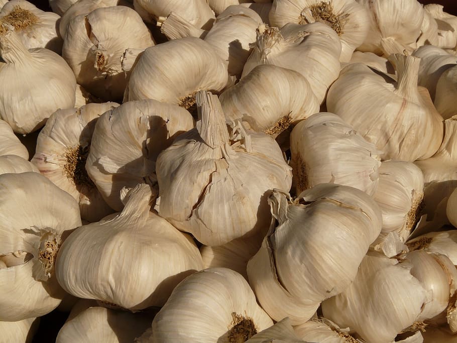 garlic, sharp, aromatic, tuber, substantial, smell, medicinal plant HD wallpaper