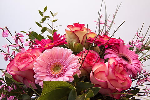 close up photograph of assorted-color flower bouquet, roses HD wallpaper