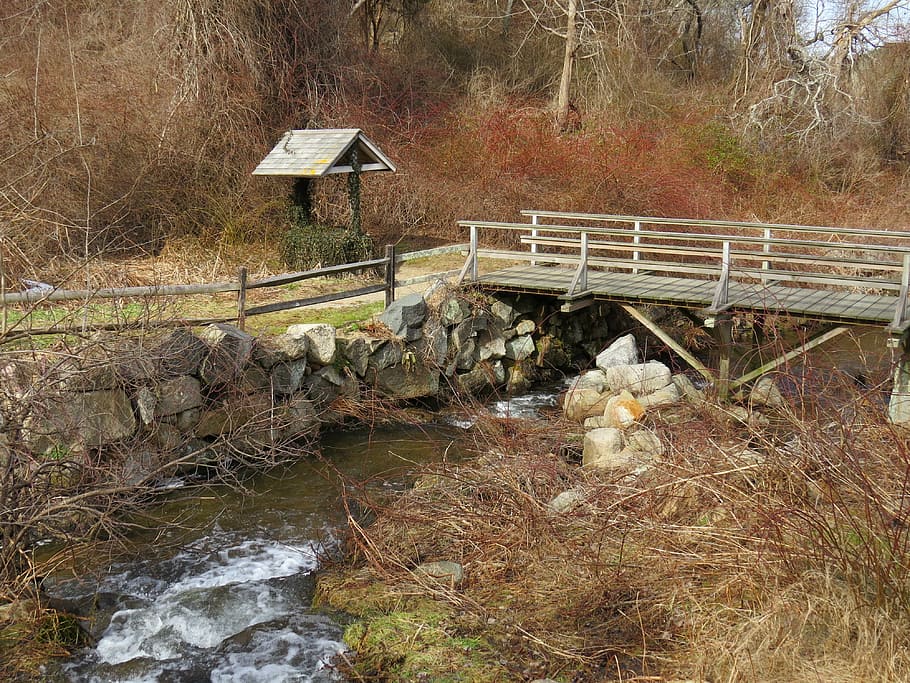stream, herring run, water, brewster, cape cod, winter, plant HD wallpaper