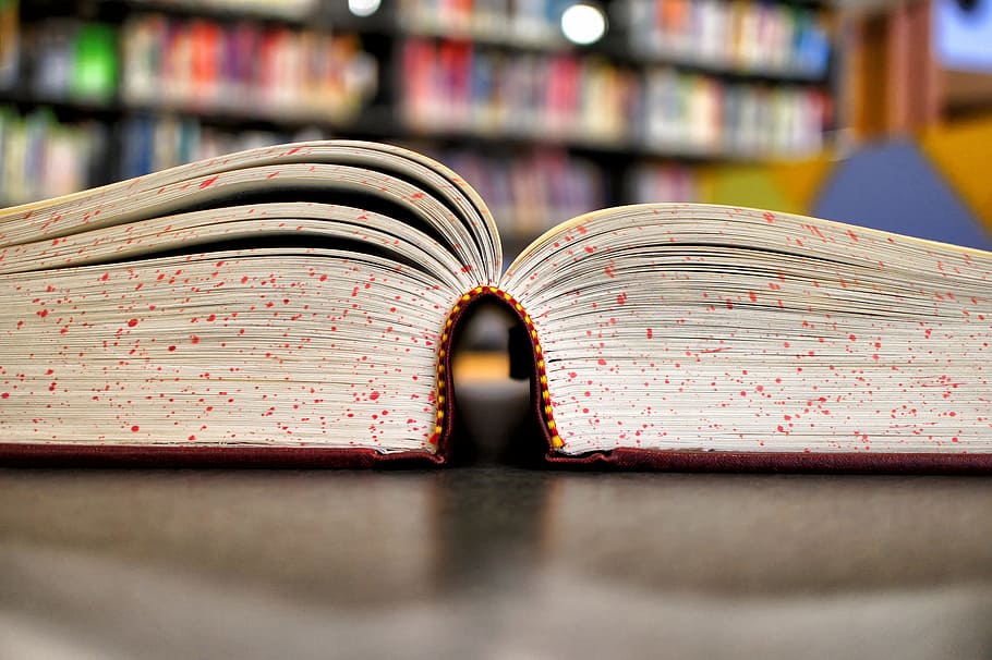 selective focus photo of open book, study, studying, education HD wallpaper
