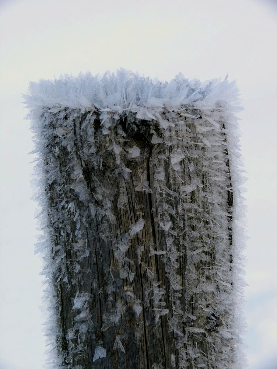 tree, ice, iced, eiskristalle, frost, frozen, sky, cold, crystals HD wallpaper