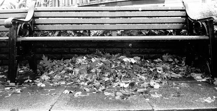 Fall, Bench, Leaves, Seat, park, under, autumn, pile, empty HD wallpaper