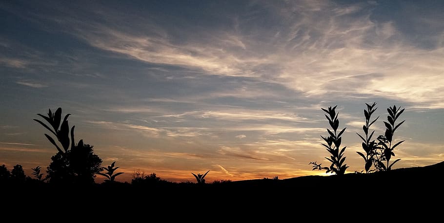 landscape, sunset, dusk, nightfall, nature, mood, sky, lights HD wallpaper