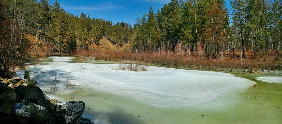 nature, forest, spring, river, ice, trees, sky, pine, landscape HD wallpaper