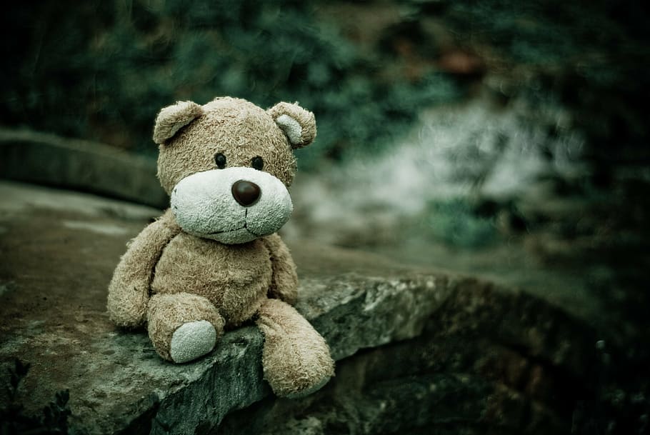 brown plush toy on concrete road, close-up, macro, teddy bear HD wallpaper