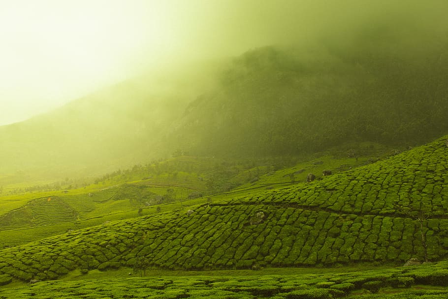 green grass field with smoke, green grass field mountain, landscape HD wallpaper