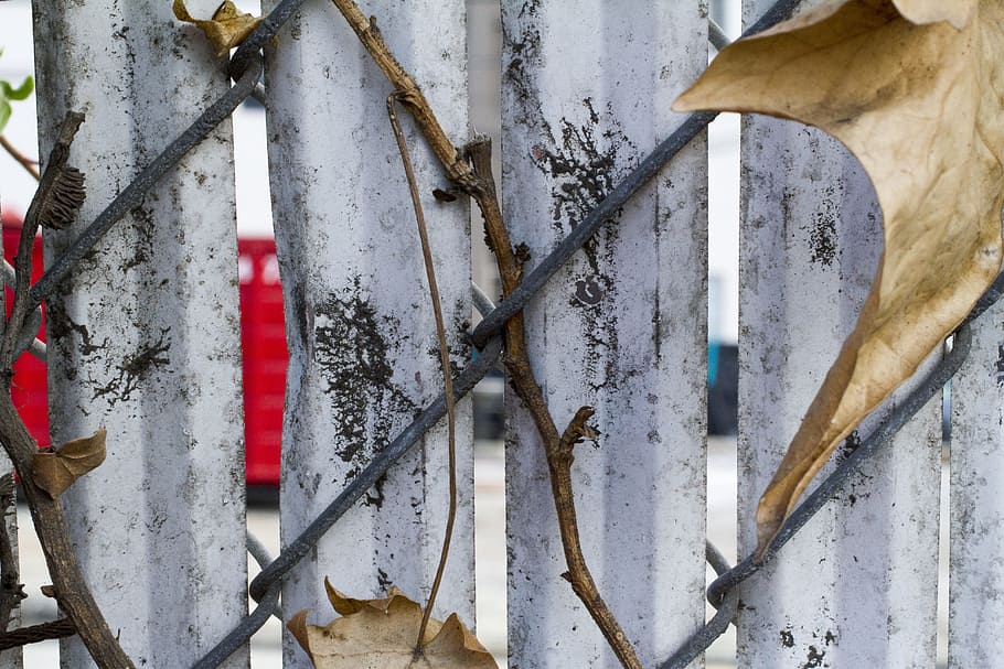 fence, dirty, rustic, leaf, grit, texture, metal, closeup, grunge HD wallpaper
