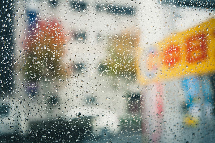 photography of rain drops, dew drops, window, droplet, raindrop HD wallpaper