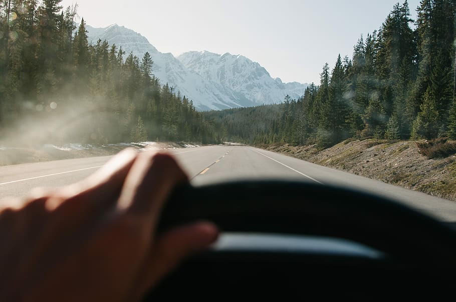 gray road path, light, highway, mountain, forest, steering wheel HD wallpaper