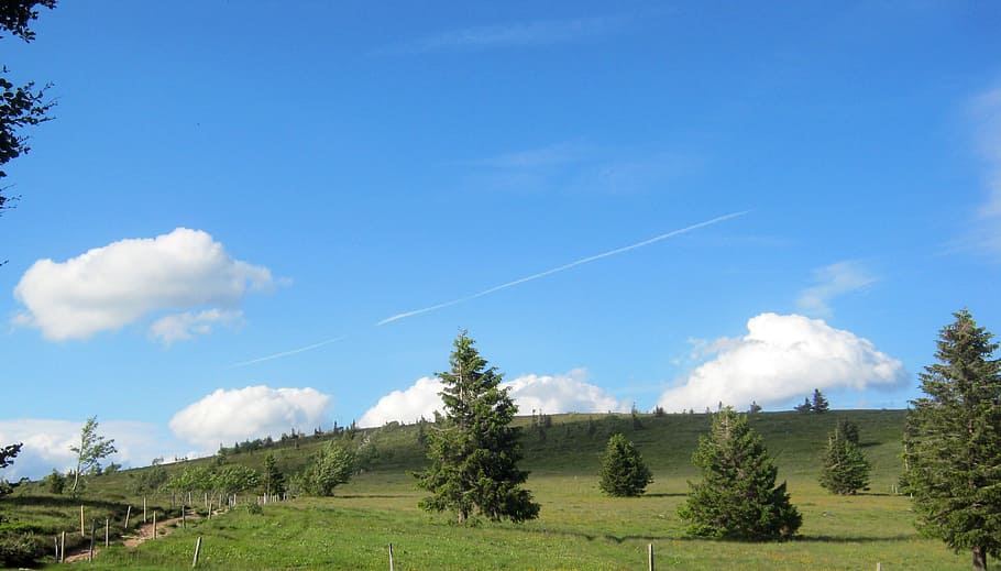 Panorama, Vosges, Trail, Path, sky, tree, field, nature, beauty in nature HD wallpaper