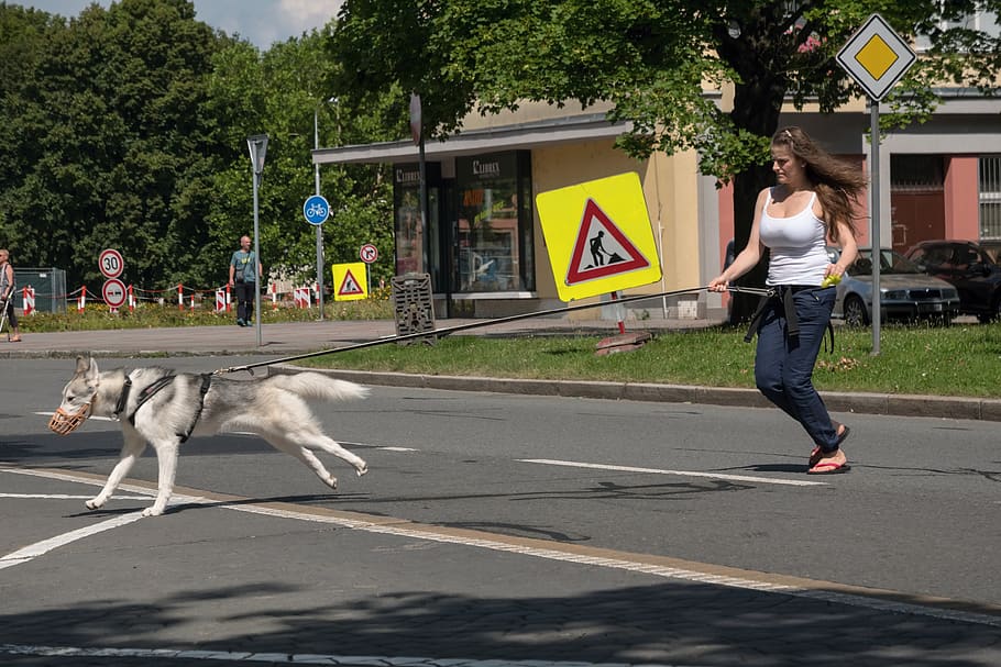 girl, dog, run, path, mammal, domestic animals, pets, full length HD wallpaper