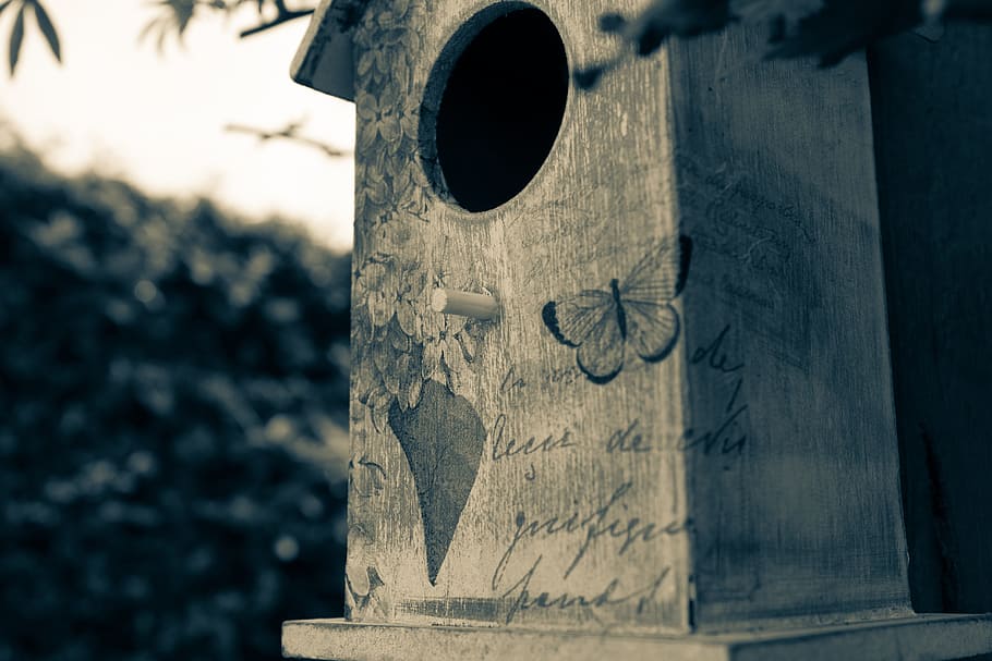 birdhouse, birds nest, split tone, wood, bird box, wooden birdhouse, HD wallpaper