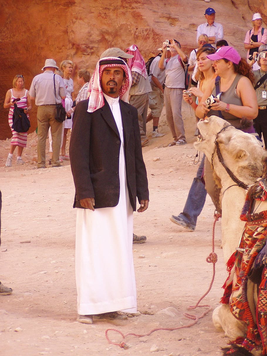arabs, camel, tourism, group of people, real people, domestic animals HD wallpaper