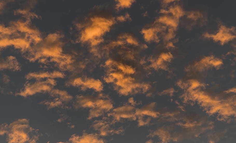 sunset, sky, clouds, fluffy, orange, grey, cloudscape, weather HD wallpaper