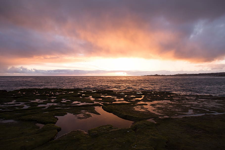 body of water during golden hour, shore, sunset, overlooking HD wallpaper