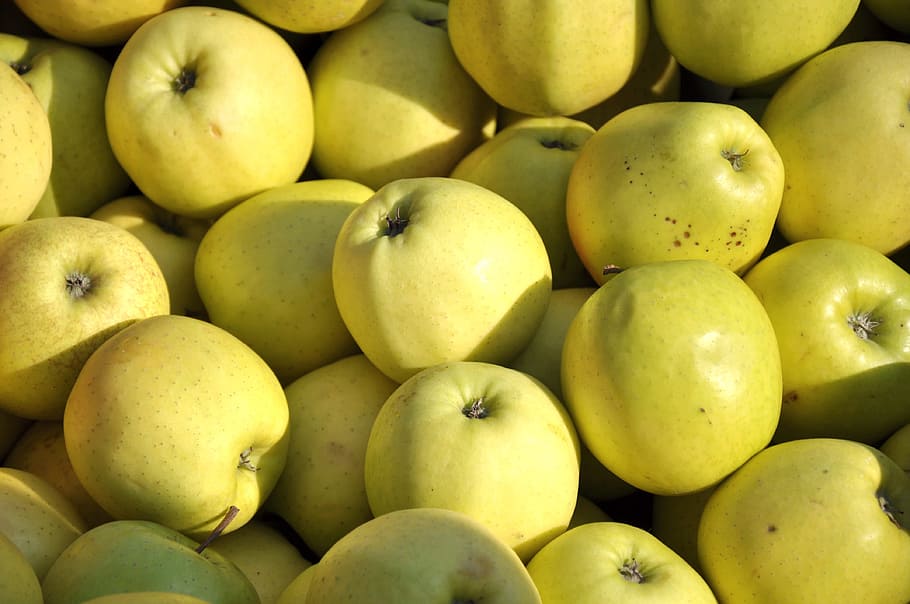 apple, fruit, food, healthy eating, food and drink, wellbeing HD wallpaper