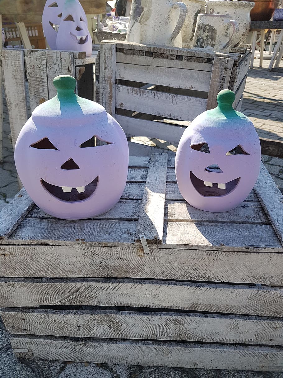 pumpkin, purple, fun, cant, tihany, art and craft, human representation HD wallpaper