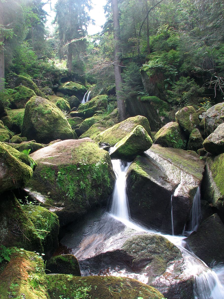 body of water on forest, nature, landscape, cascade, waterfall HD wallpaper