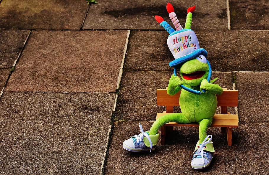 Kermit the frog plush toy wearing birthday hat sitting on brown bench