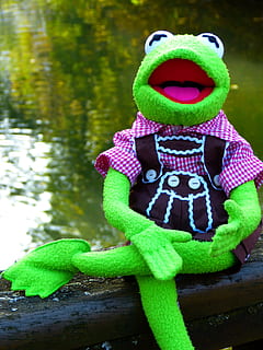 Kermit, Frog, Doll, Costume, leather pants, outdoors, nature HD wallpaper