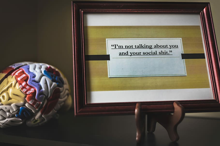 “I’m not talking about you and your social shit.”, wooden photo frame on stand HD wallpaper