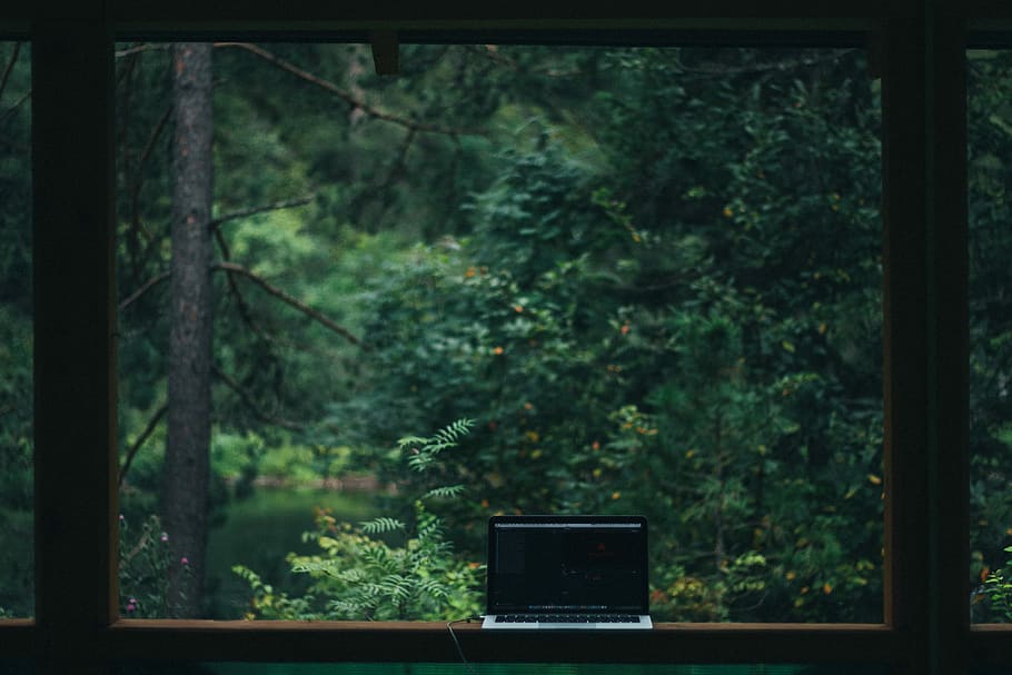 black and silver laptop computer, green trees outside glass window with brown wooden frame