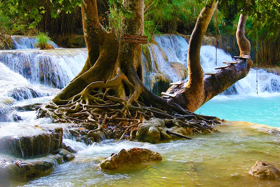 tree in river under sunset, waterfall, pool, nature, landscape HD wallpaper