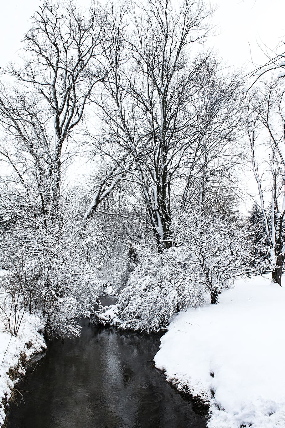 river, water, nature, tree, plant, snow, cold temperature, winter HD wallpaper