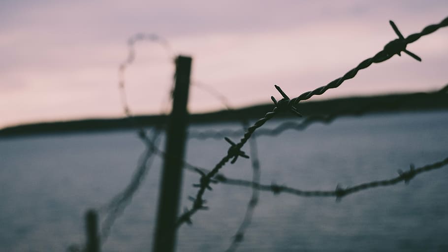 selective focus photography of barb wire, wires, security, sharp HD wallpaper