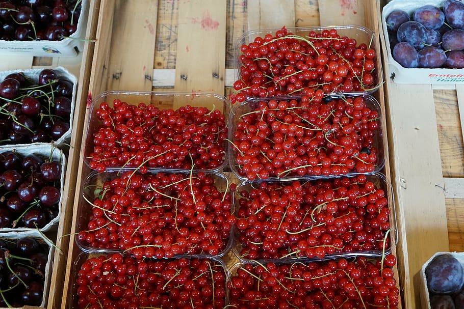 currants, red, market, for sale, food and drink, retail, freshness HD wallpaper