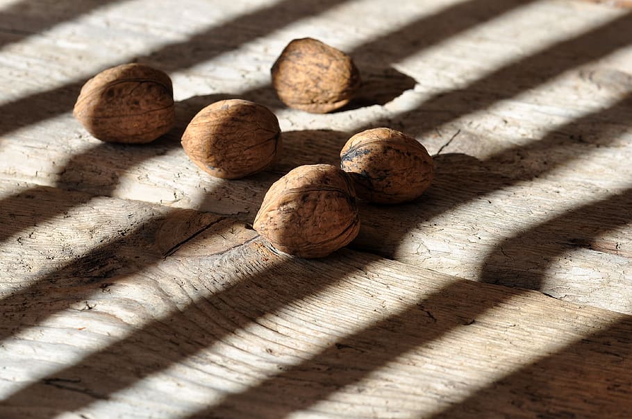 walnuts, healthy, delicious, wood floor, light and shadow, sunlight HD wallpaper