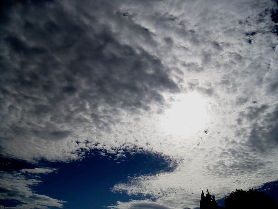 Cloudy, Clouds, White, Horizon, flocky clouds, soft, meteorology HD wallpaper