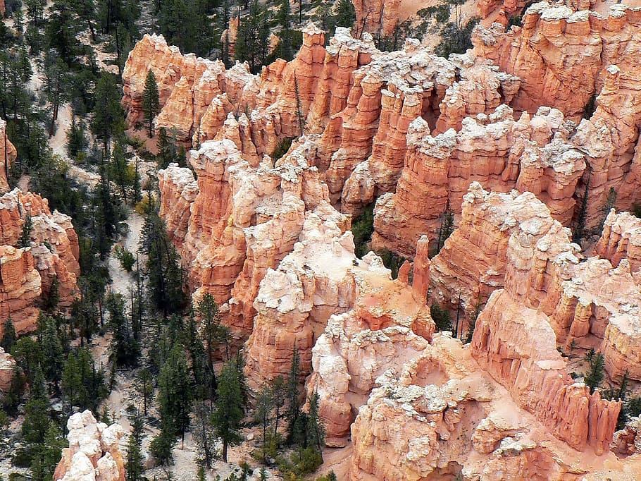 Usa, Bryce Canyon, Landscape, woodos, tourist site, immensity, HD wallpaper