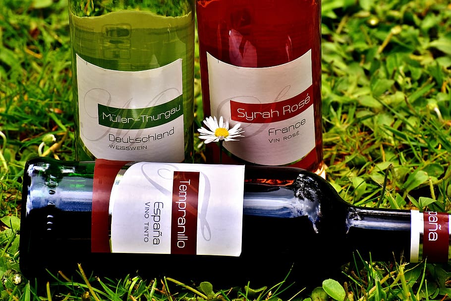 three assorted-brands liquor bottle on grass, wine, drink, restaurant, HD wallpaper