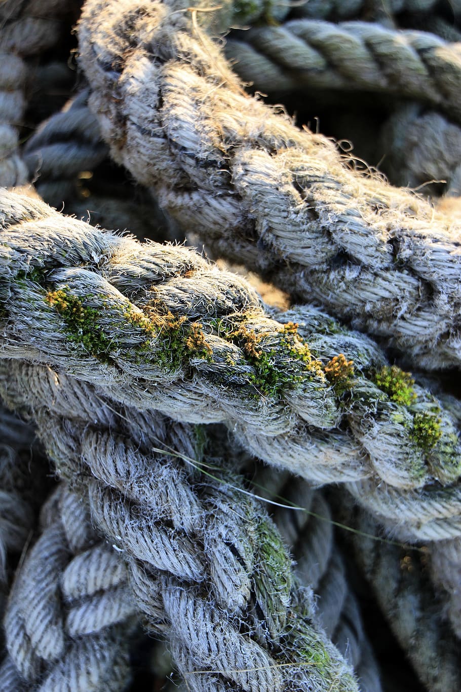 Rope, Moss, Old, strength, durability, tied knot, outdoors HD wallpaper