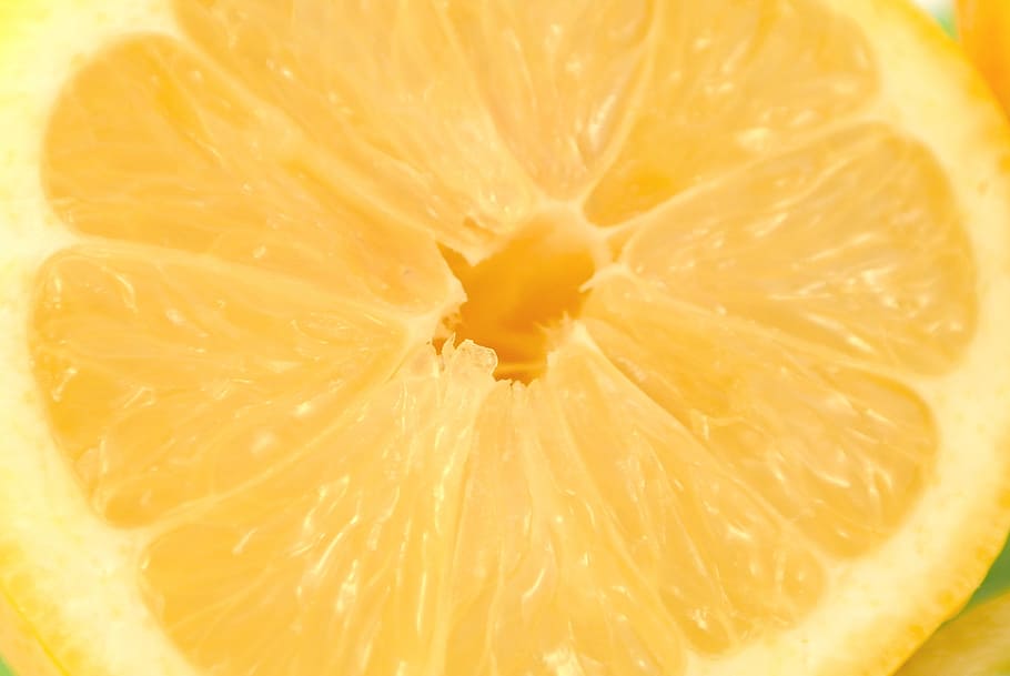 slice of lemon, yellow, sour, fruit, juice, vitamin c, citrus fruit HD wallpaper