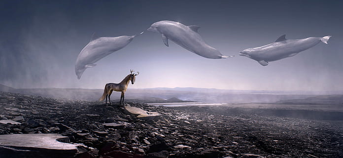 three dolphins jumping, fantasy, stone desert, horse, fly, weightless HD wallpaper