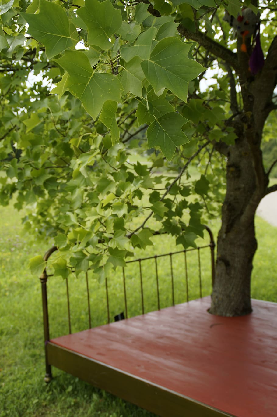 dream, tree, bed, dreams, artwork, art object, art summer, unreality HD wallpaper
