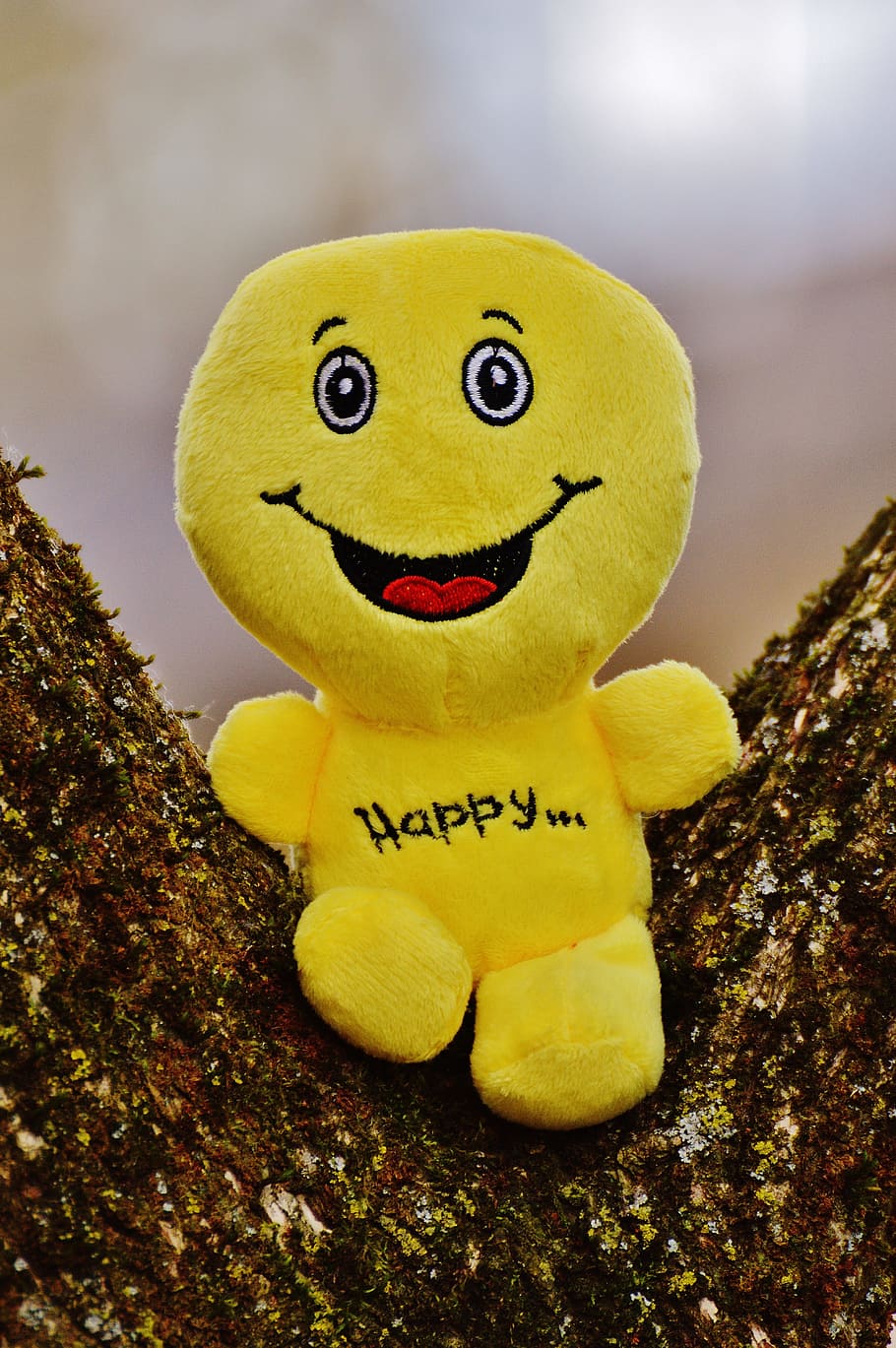 yellow Happy plush toy on wood, Smiley, Laugh, Emoticon, funny, HD wallpaper