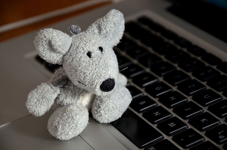 Plush laptop clearance dog toy