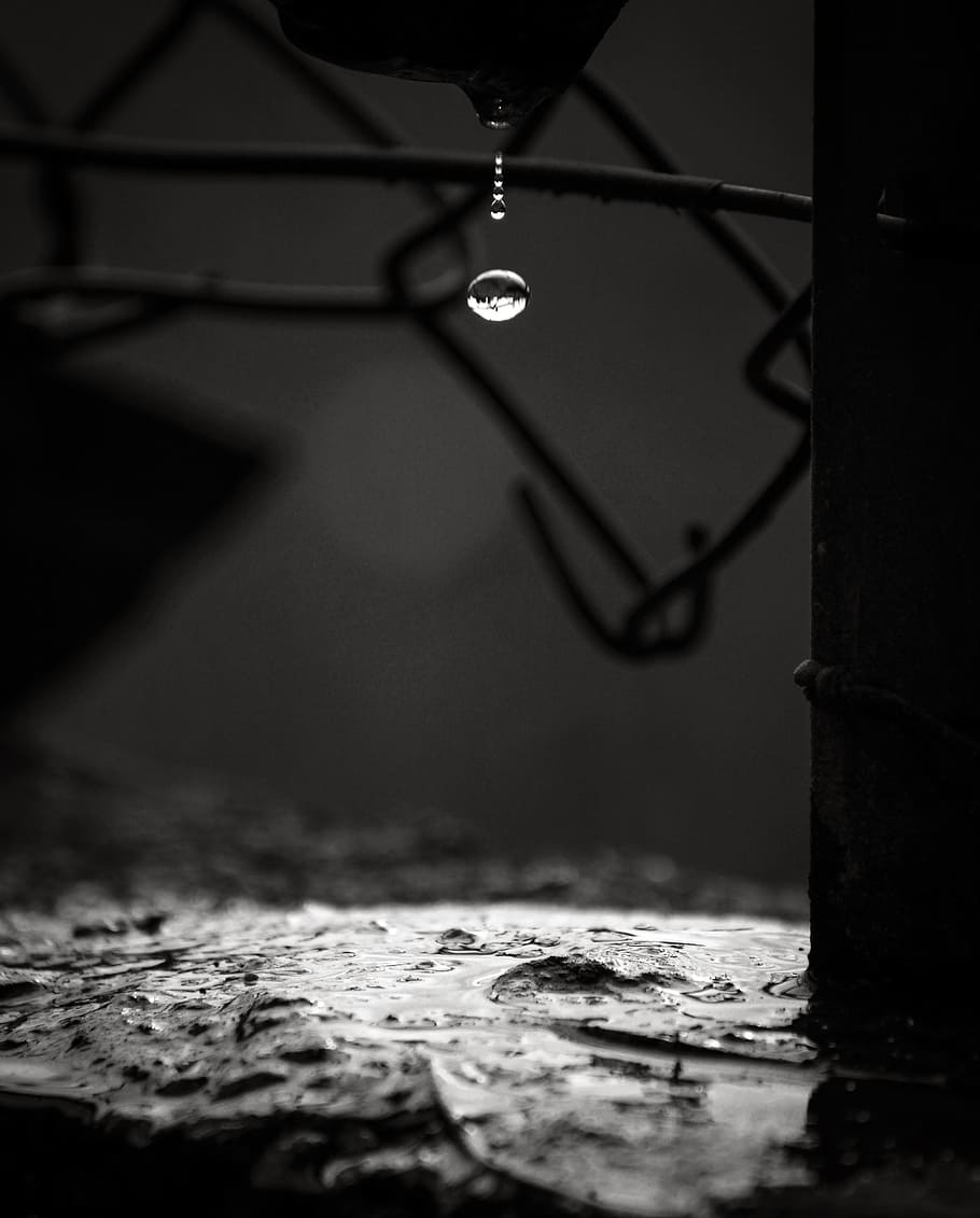 water, drop, nature, macro, drops, drawing, white, nero, black and white HD wallpaper