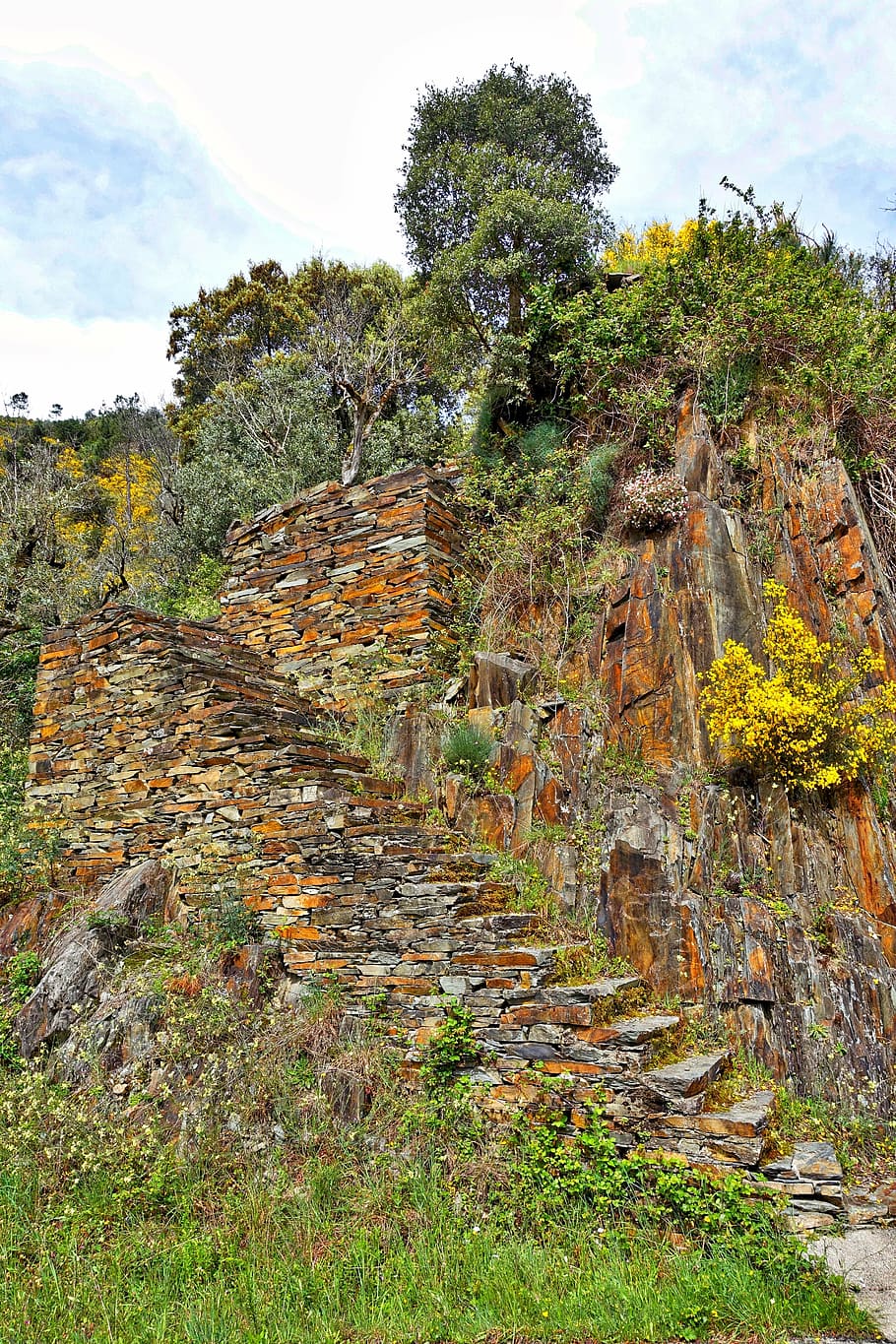 steps, stairwell, climb, up, rocks, ruins, plant, tree, sky HD wallpaper